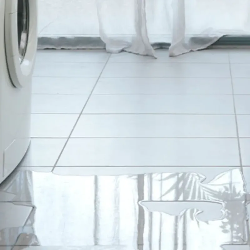 Appliance Leak Cleanup in Bayside, WI