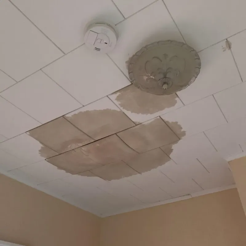 Ceiling Water Damage Repair in Bayside, WI